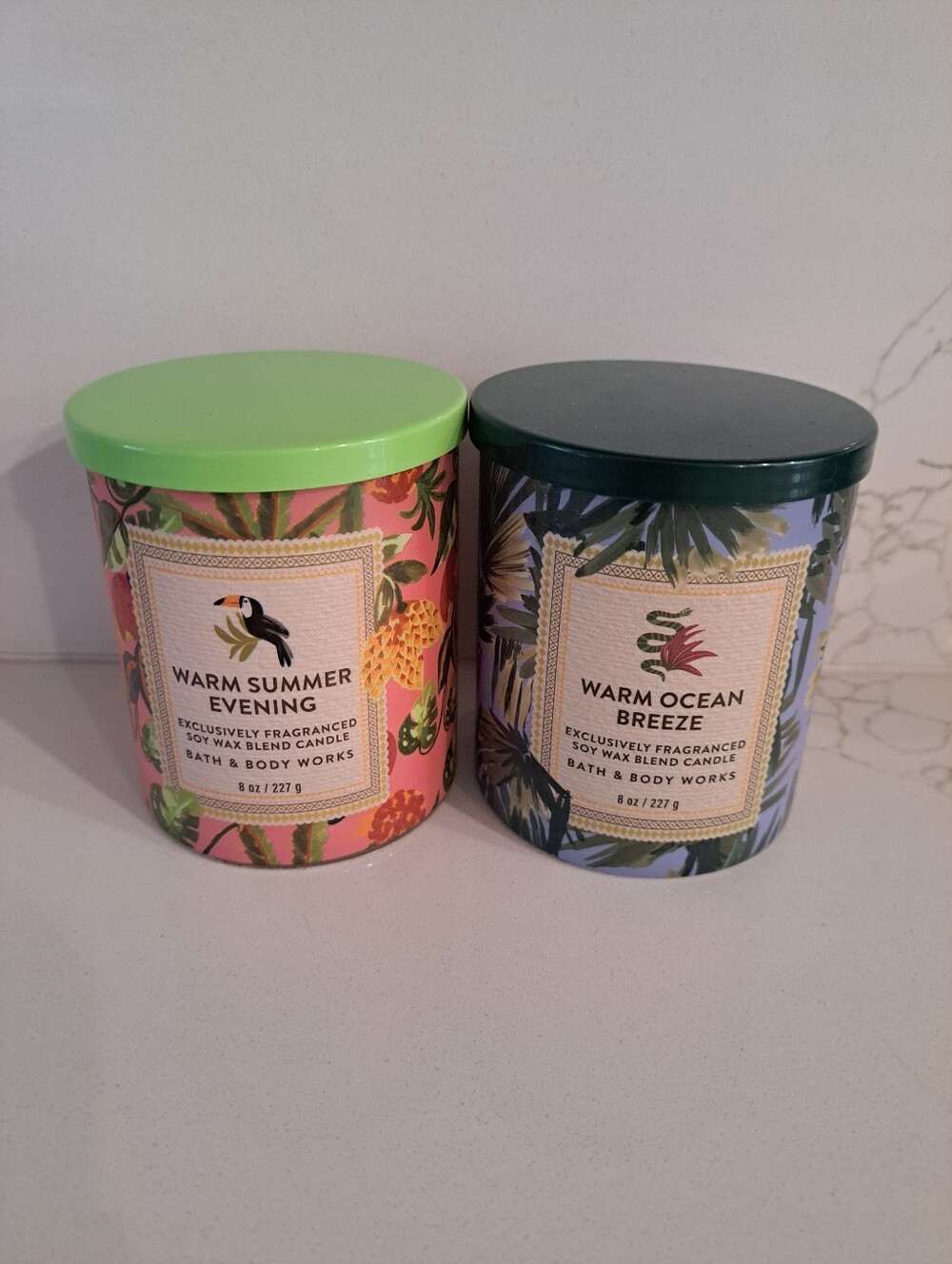 BBW single wick candle bundle-New